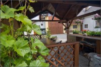 /album/fotogalerie/vinna-reva-u-mikese-cesky-raj-21062010-img-9397-mk-jpg/