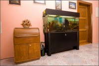 /album/fotogalerie/akvarium-u-mikese-cesky-raj-04052010-img-5739-mk-jpg/